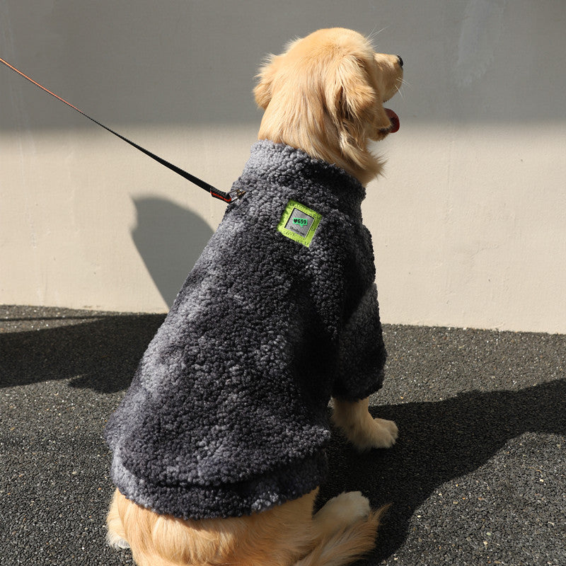 Large dog jacket back length detail — Pawnests