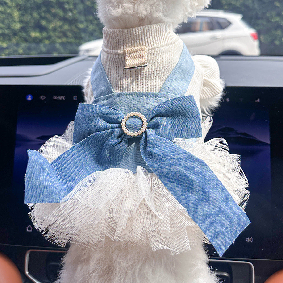 Pet Denim Skirt | Cute Summer Dress for Small Dogs & Cats – product image 35 | Pawnests