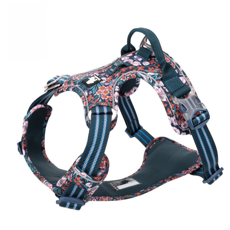 Dog harness adjustable buckle close-up — Pawnests