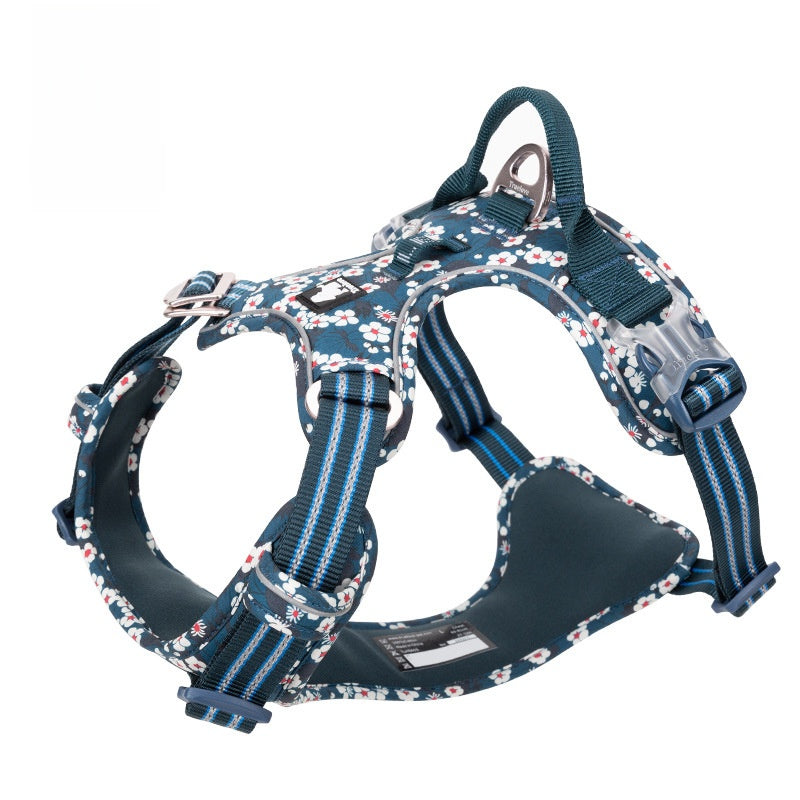 Small dog wearing reflective harness — Pawnests