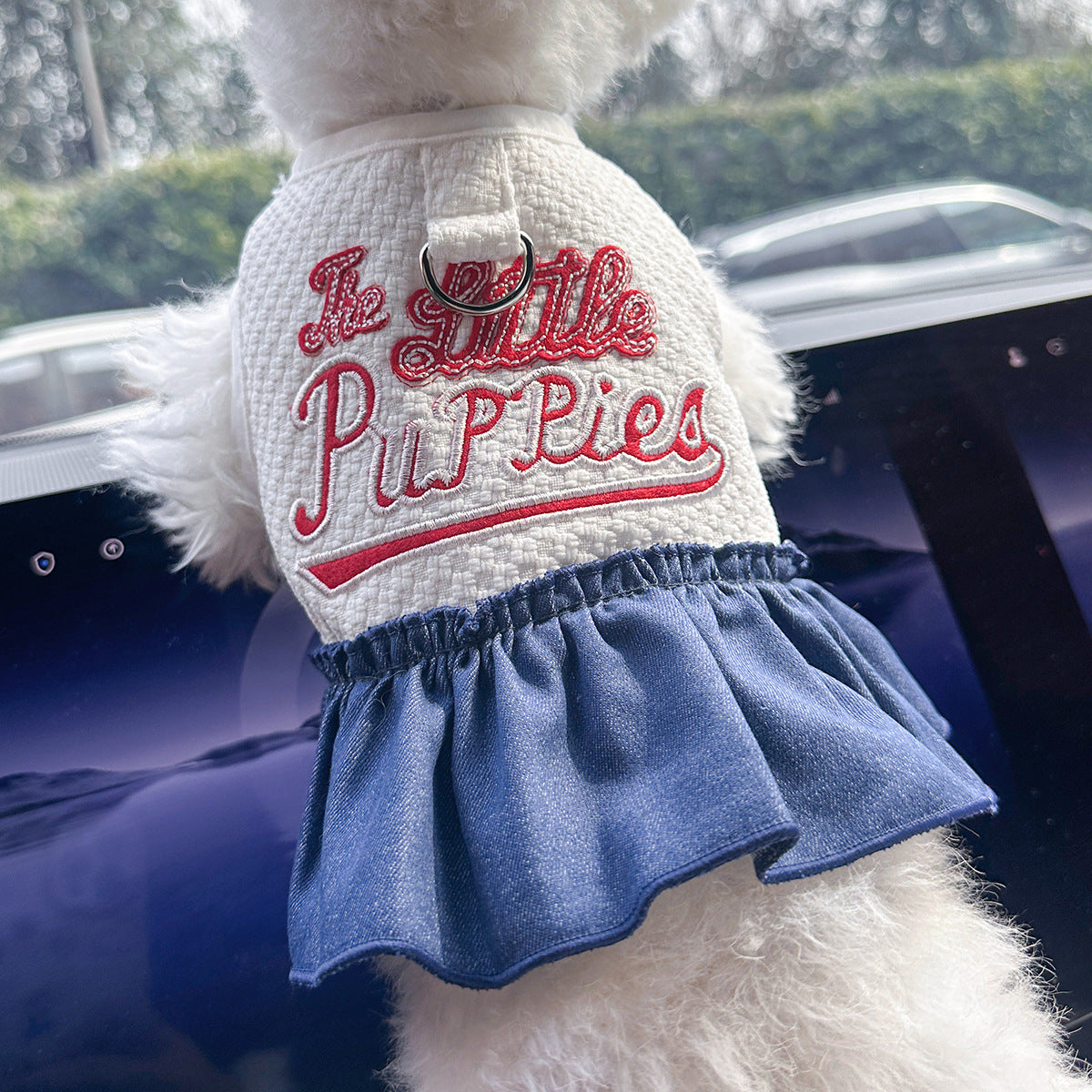 Pet Denim Skirt | Cute Summer Dress for Small Dogs & Cats – product image 29 | Pawnests