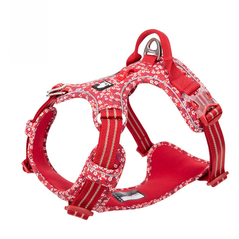 Dog harness reflective strip glowing at night — Pawnests