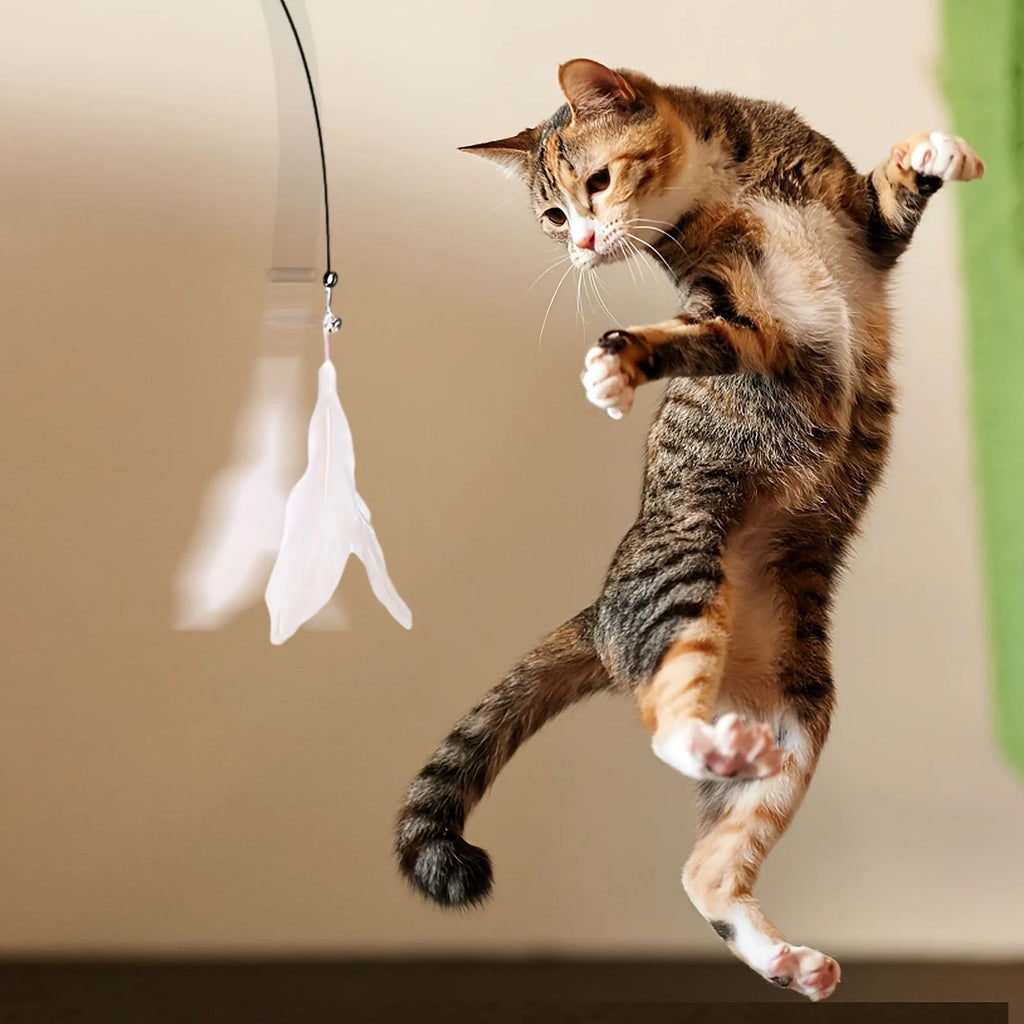 Cat jumping for a feather and bell teaser toy | Pawnests