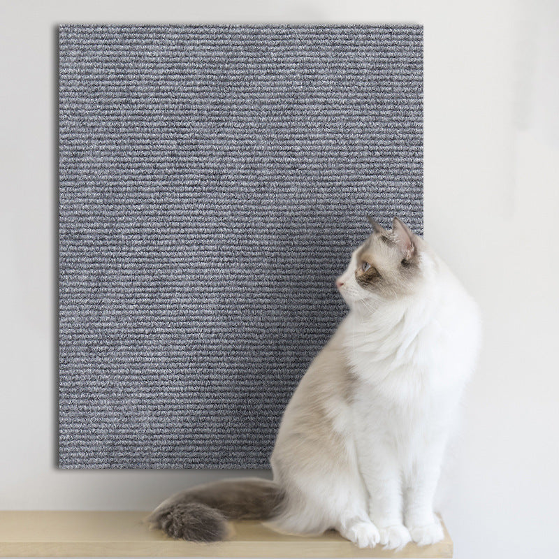 Cat scratching deterrent sheet on door frame | Pawnests