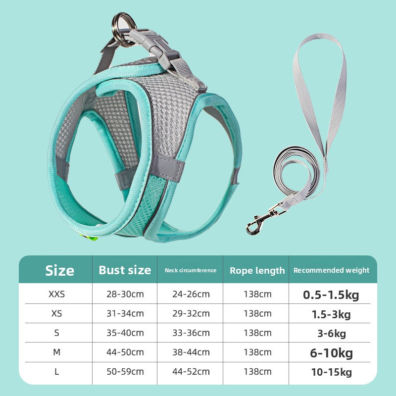 Blue and grey reflective dog harness and leash — evening walk safety | Pawnests