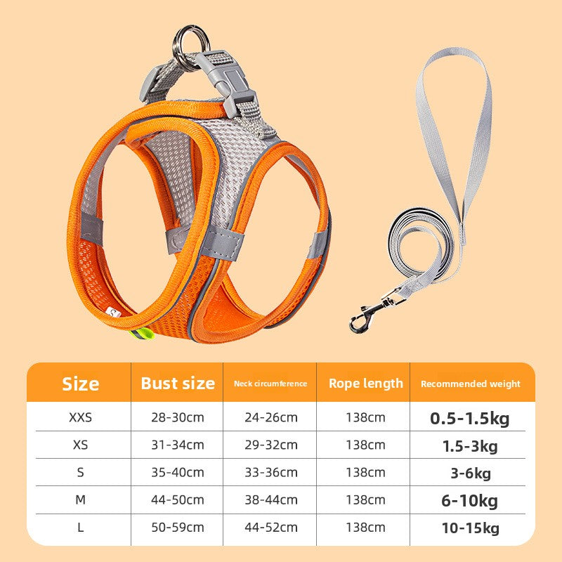 Cat wearing nylon harness — suitable for cats and small dogs | Pawnests