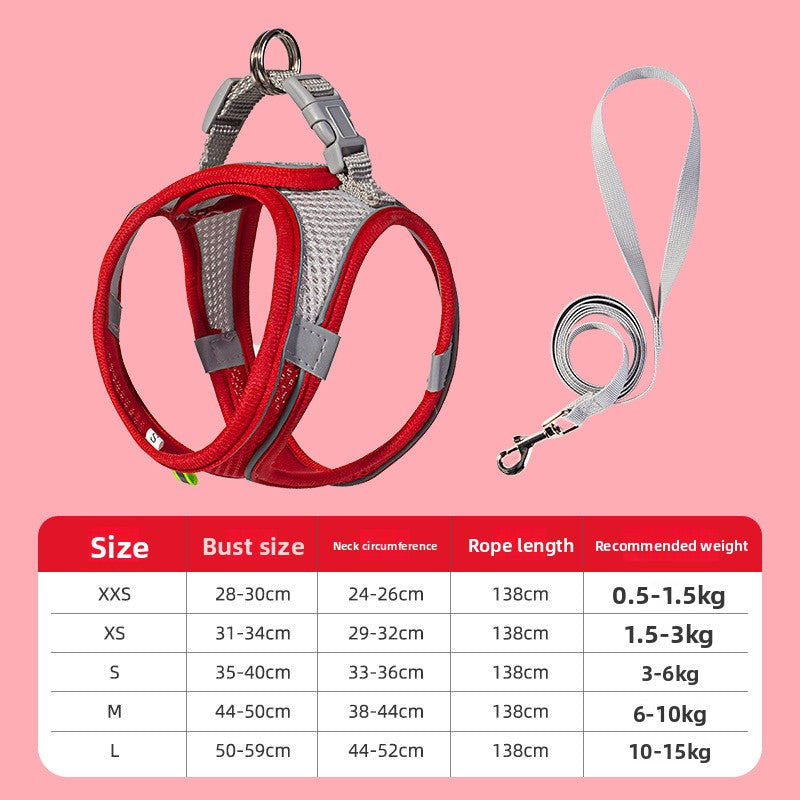 Dog wearing harness on outdoor walk — comfortable nylon pet walking set | Pawnests