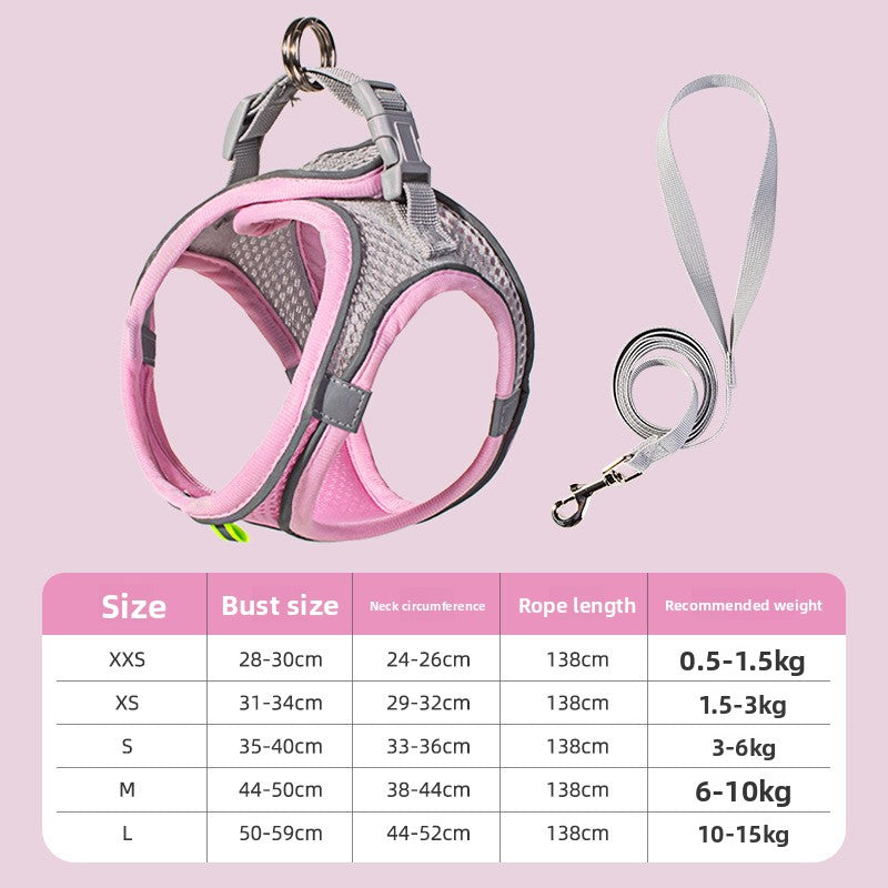 Dog walking on leash with reflective harness set — outdoor pet accessories | Pawnests