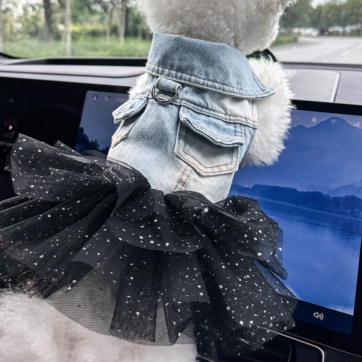 Pet denim skirt collection — multiple designs for dogs and cats | Pawnests