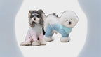 Mesh-Anzug für Haustiere | Atmungsaktives 4-Bein-Sommeroutfit für Hunde & Katzen