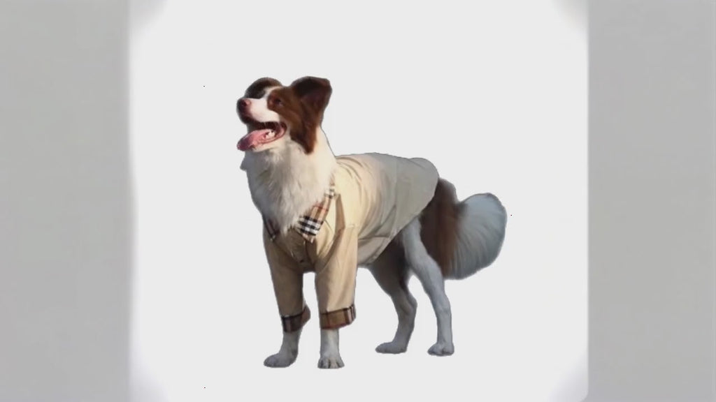 Chemise pour grand chien | T-shirt respirant anti-poils pour grandes races